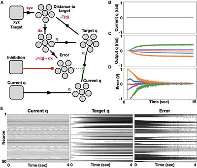 Neuromorphic NEF-Based Inverse Kinematics and PID Control